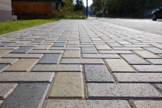 Best Residential Paver Driveway  in Taylor, AZ